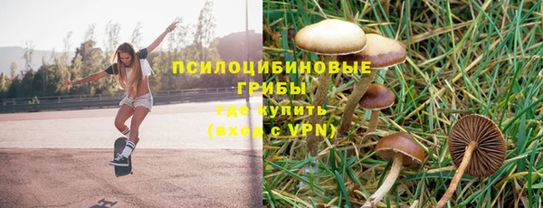 не бодяженный Алексин