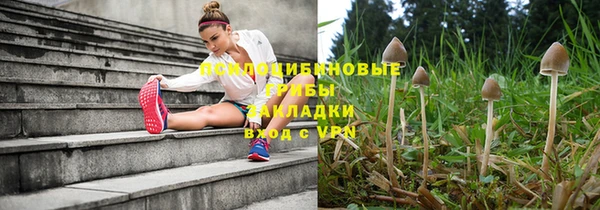 таблы Алзамай